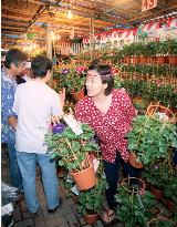 Morning glory fair gets under way